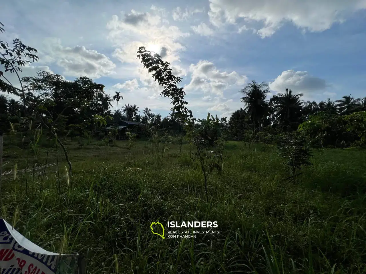 Mountain Views in Maduwan: Appealing Plots(Plot 1)