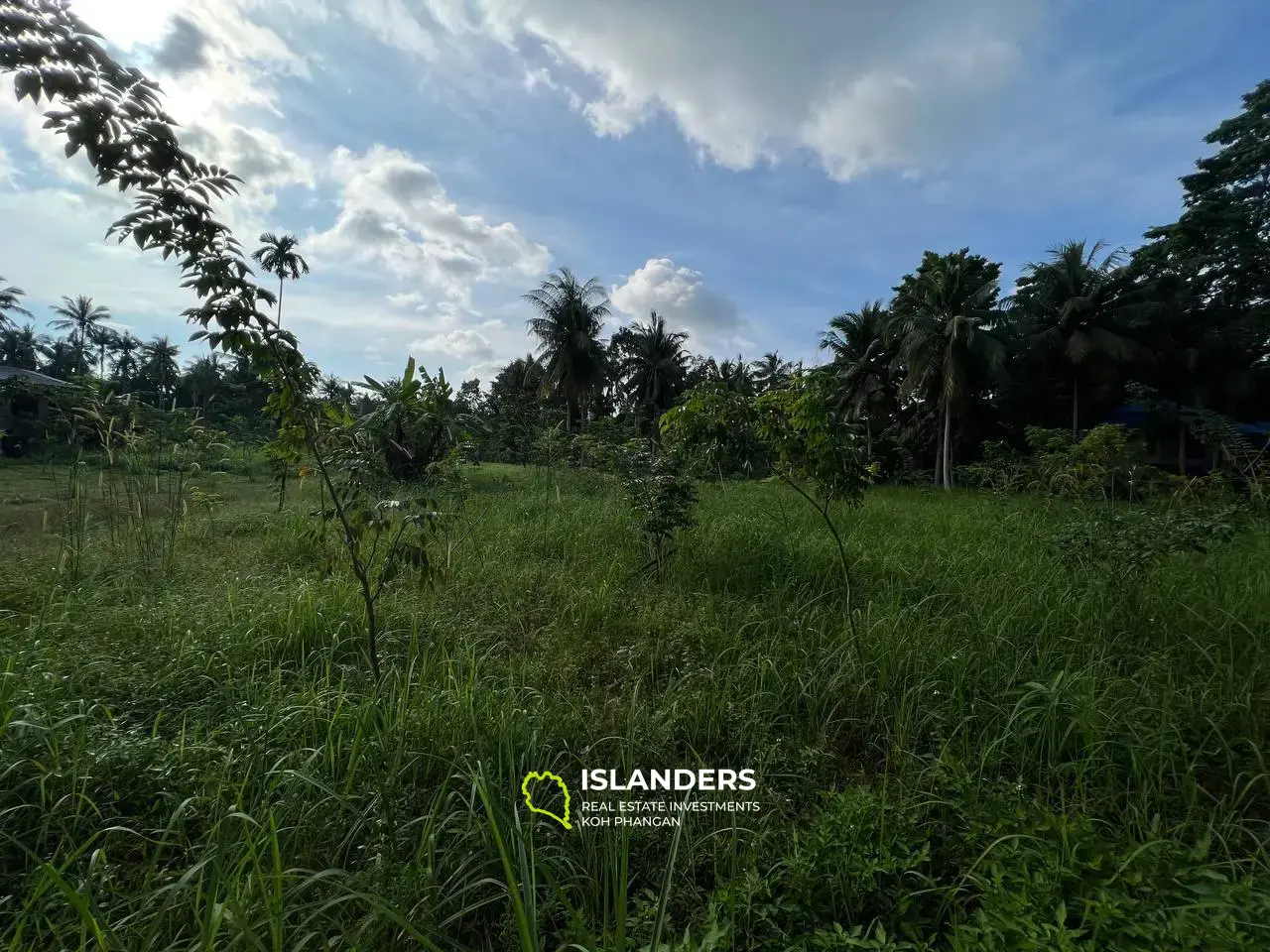 Sanctuaire de Maduwan : des parcelles uniques dans l'étreinte de la nature"(Plot2)