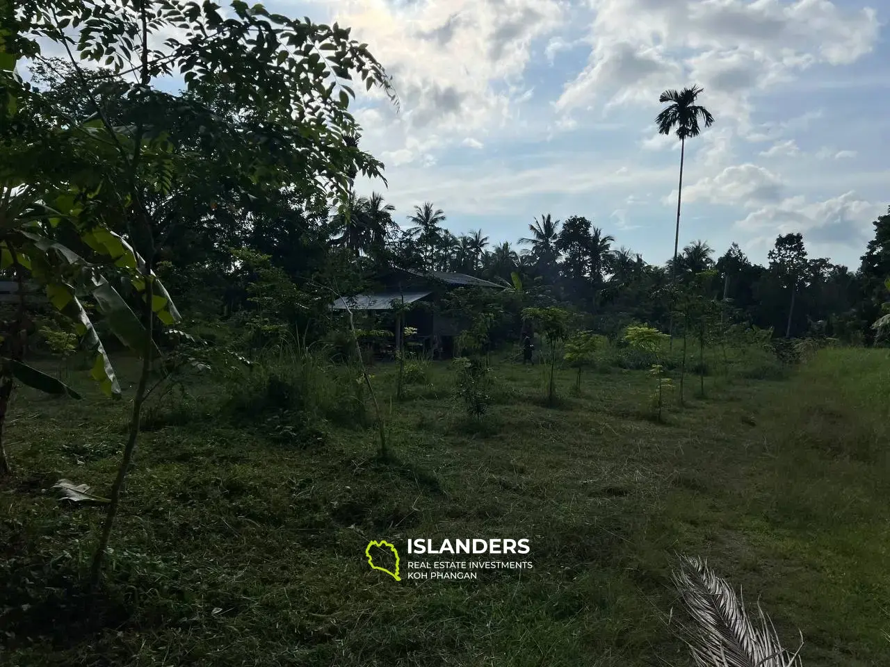 Sanctuaire de Maduwan : des parcelles uniques dans l'étreinte de la nature"(Plot2)