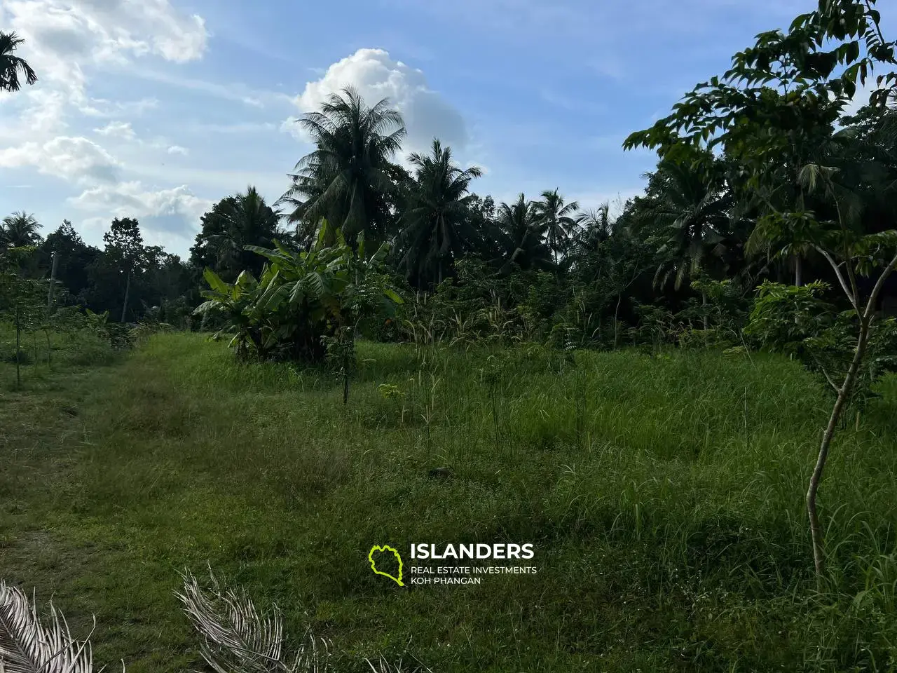 Sanctuaire de Maduwan : des parcelles uniques dans l'étreinte de la nature"(Plot2)