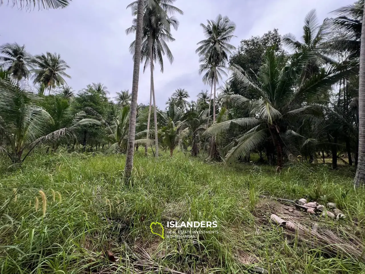 ความเงียบสงบและความเงียบสงบ: ที่ดินในอุดมคติพร้อมวิวภูเขา