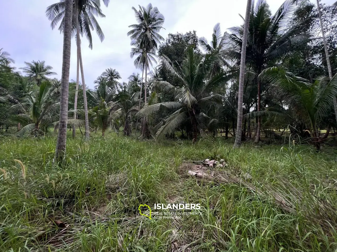 ความเงียบสงบและความเงียบสงบ: ที่ดินในอุดมคติพร้อมวิวภูเขา