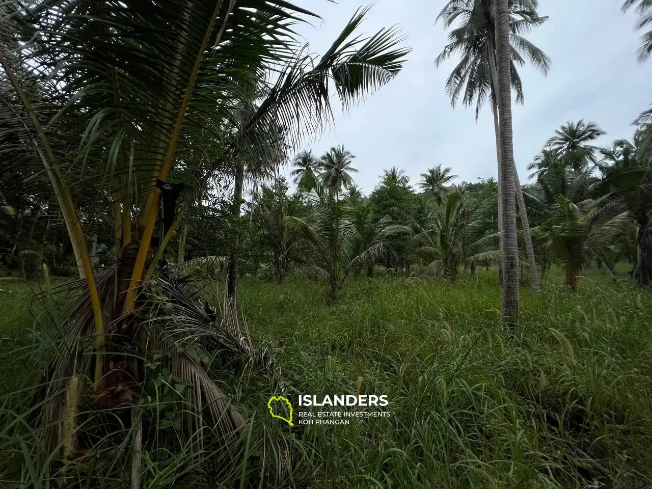 ความเงียบสงบและความเงียบสงบ: ที่ดินในอุดมคติพร้อมวิวภูเขา