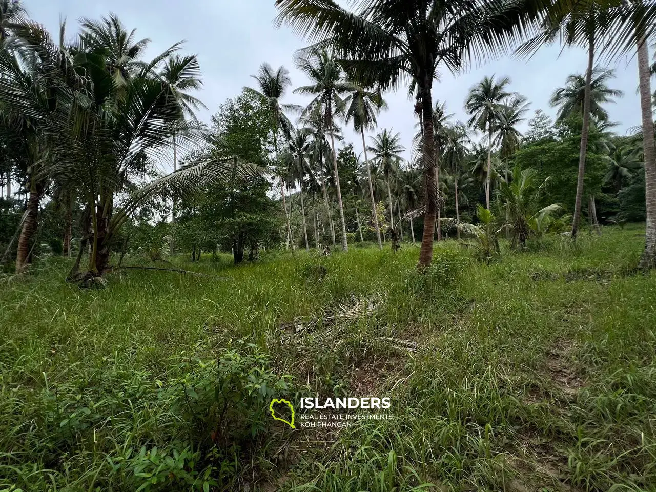 ความเงียบสงบและความเงียบสงบ: ที่ดินในอุดมคติพร้อมวิวภูเขา