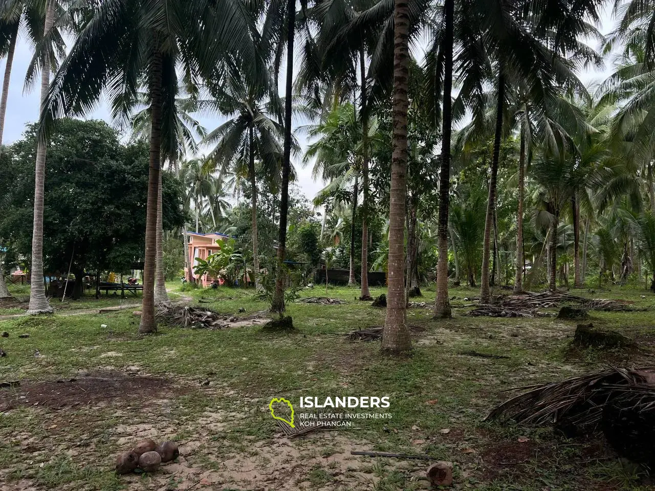 Terrains Isolés Avec Maisons à Maduwan