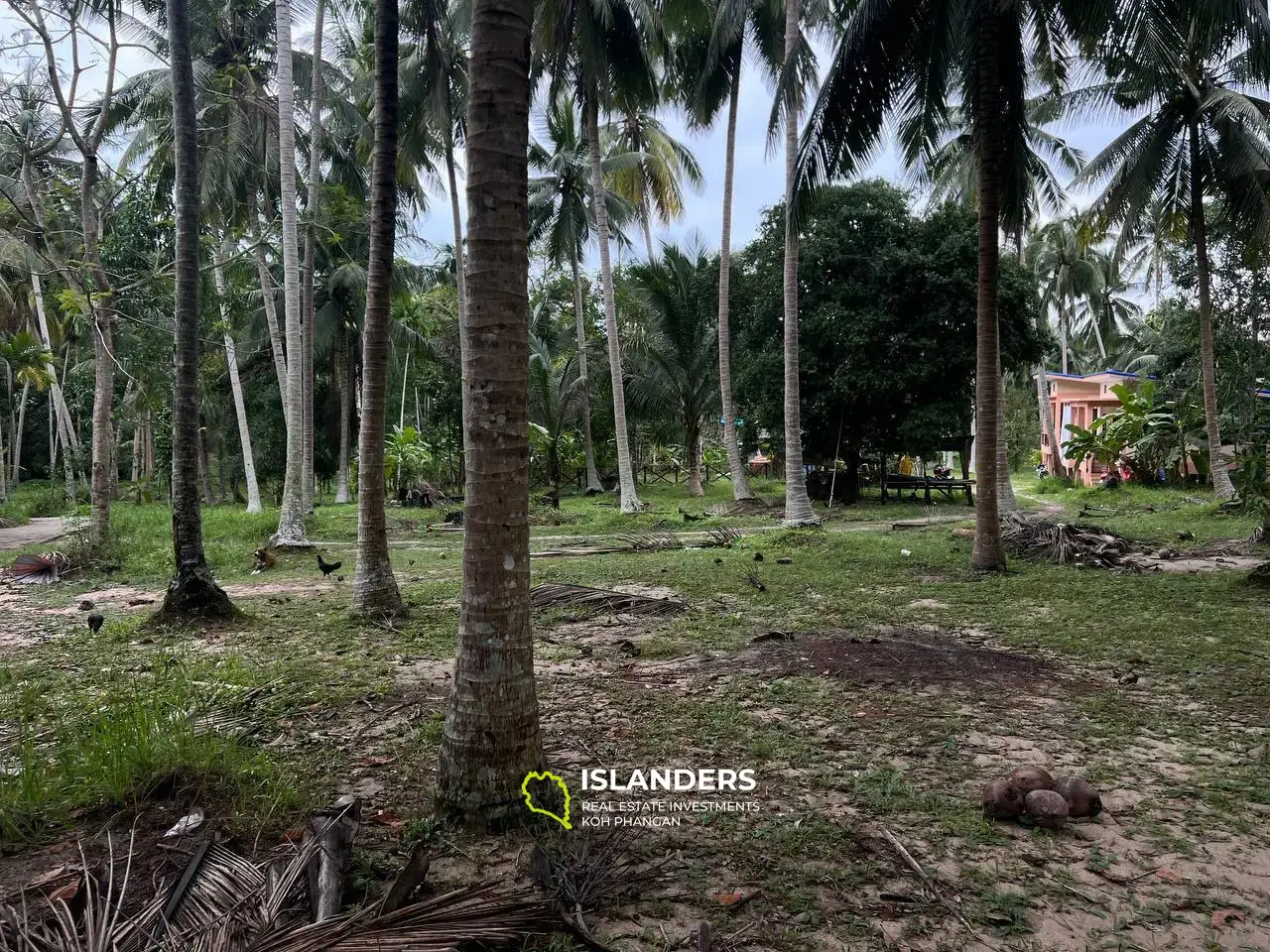 Secluded Plots with Houses in Maduwan