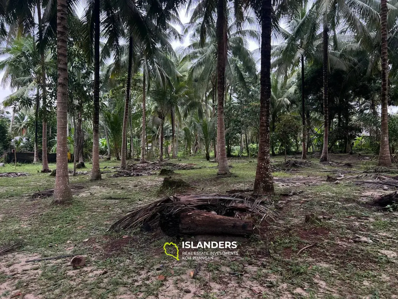 Terrains Isolés Avec Maisons à Maduwan