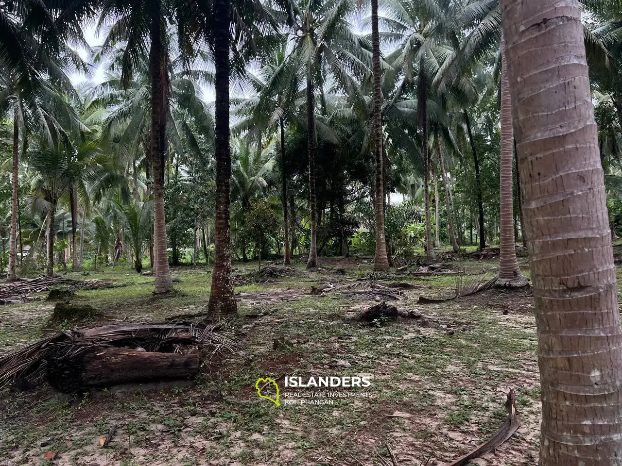 Terrains Isolés Avec Maisons à Maduwan