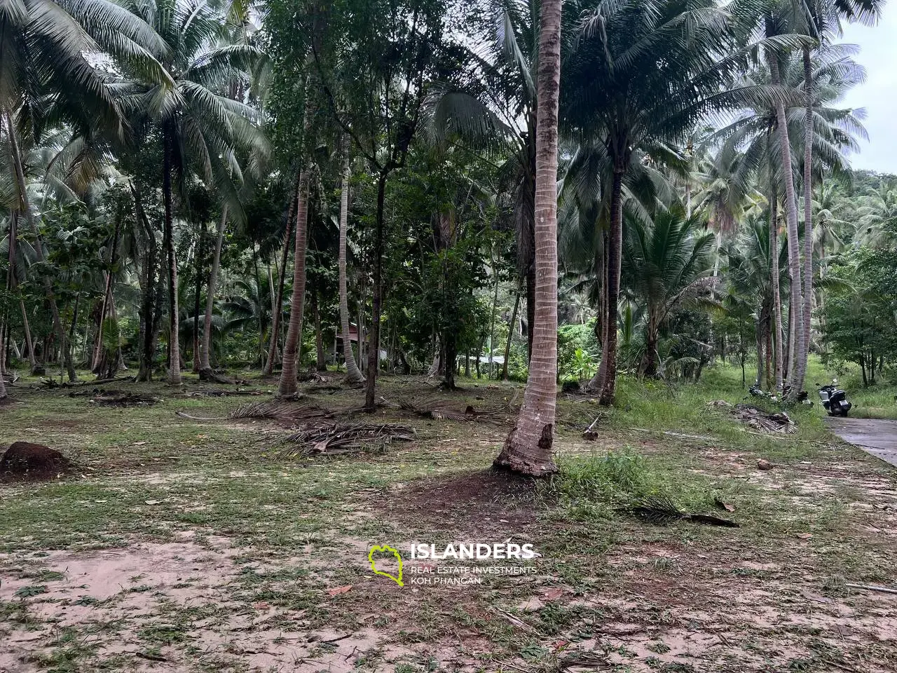 ที่ดินอันเงียบสงบพร้อมบ้านใน Maduwan