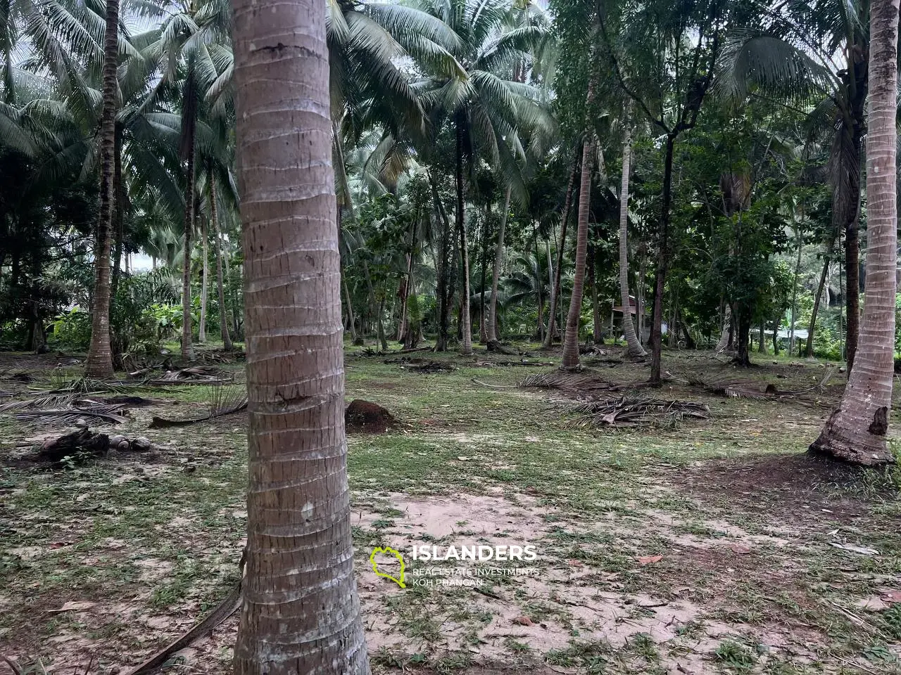 ที่ดินอันเงียบสงบพร้อมบ้านใน Maduwan