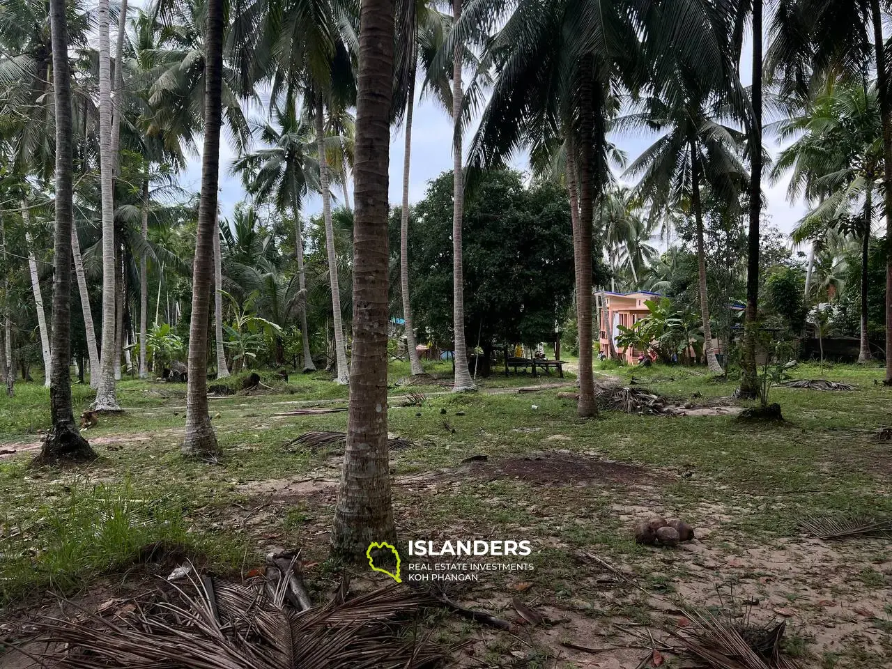 Terrains Isolés Avec Maisons à Maduwan