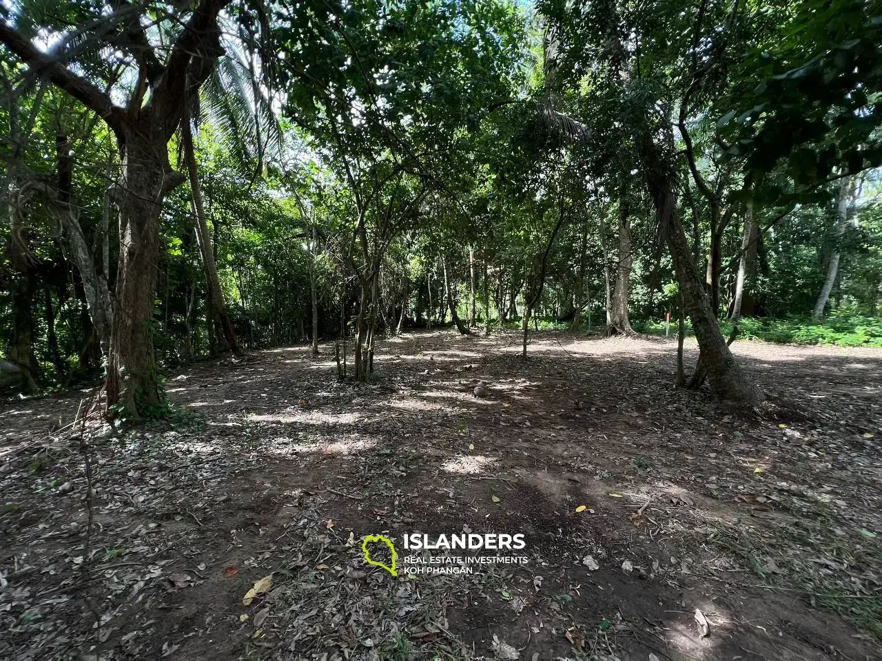 Thai Tranquility: Land Plot in Bantai with Jungle Views