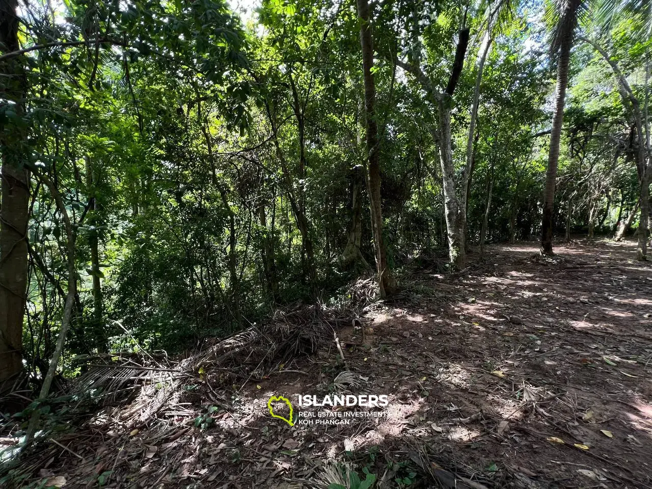 Thai Tranquility: Grundstück in Bantai mit Blick auf den Dschungel