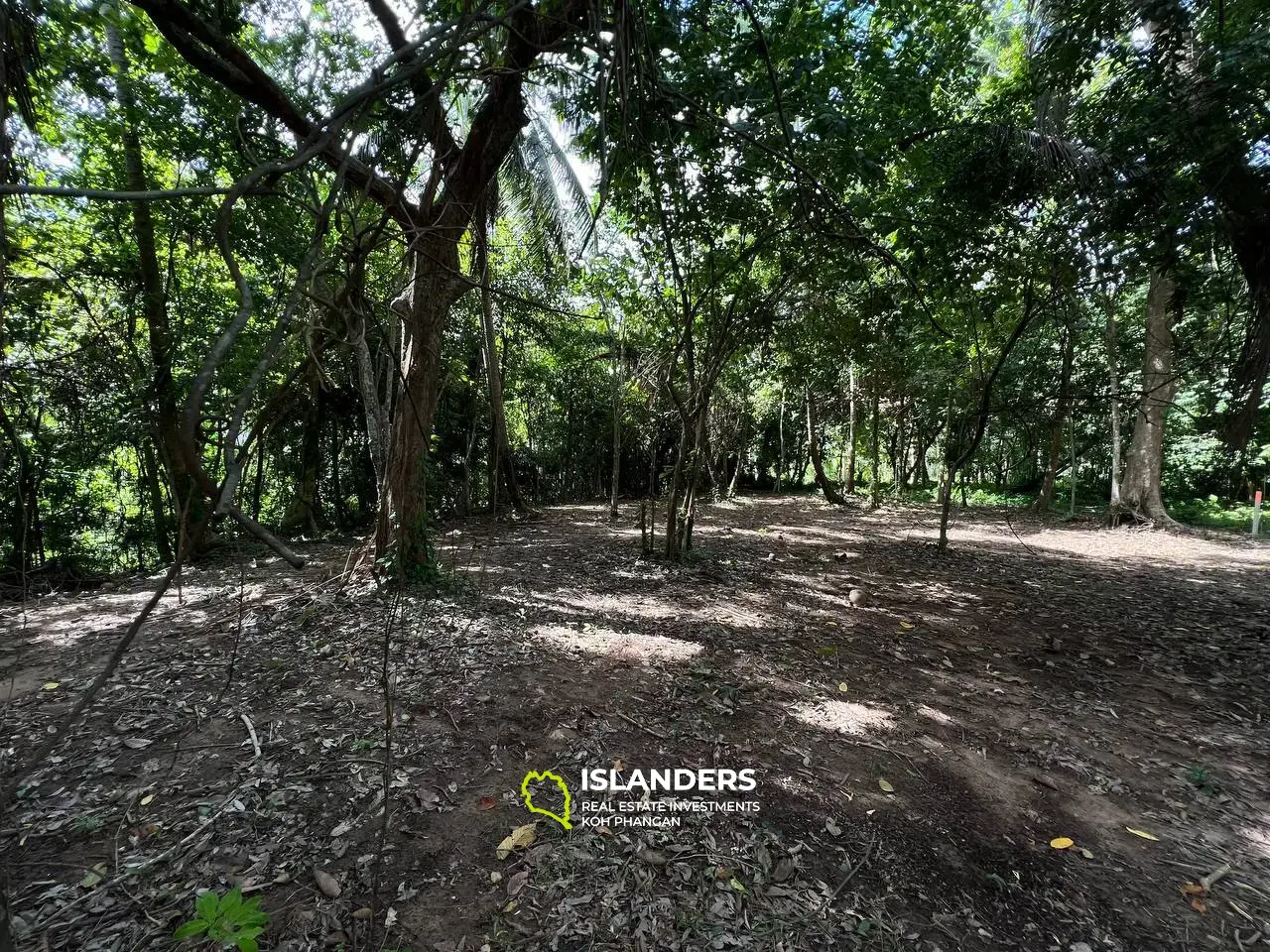 Thai Tranquility : Terrain à Bantai avec vue sur la jungle