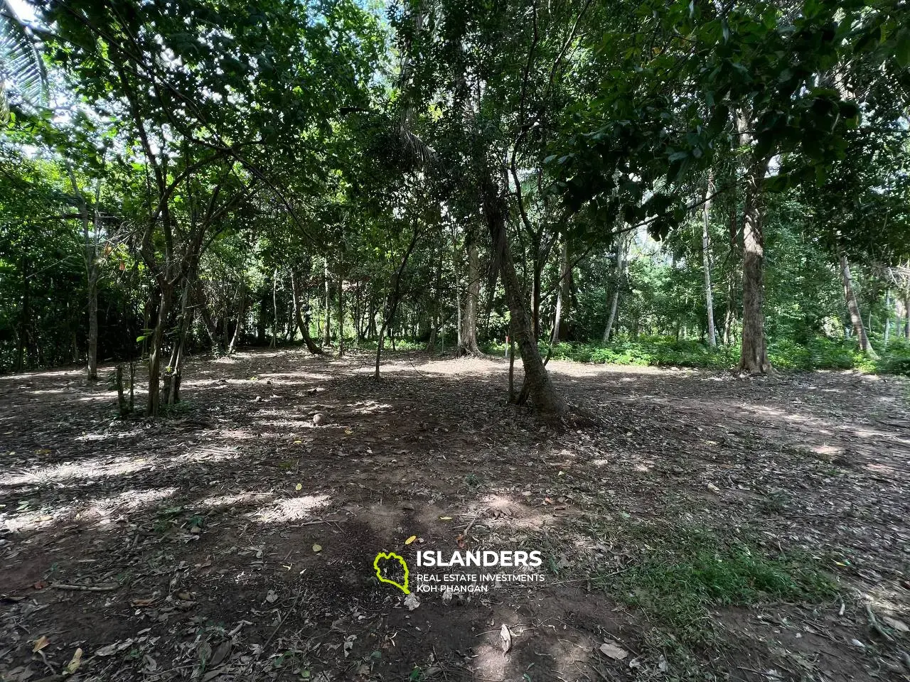 Thai Tranquility: Land Plot in Bantai with Jungle Views