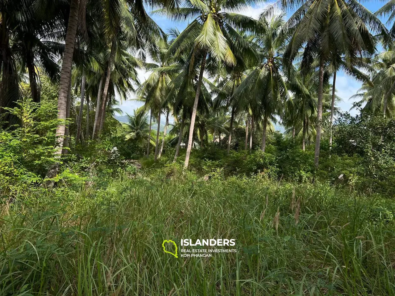 Terrain panoramique à Ban Tai : un mélange de nature et de commodité