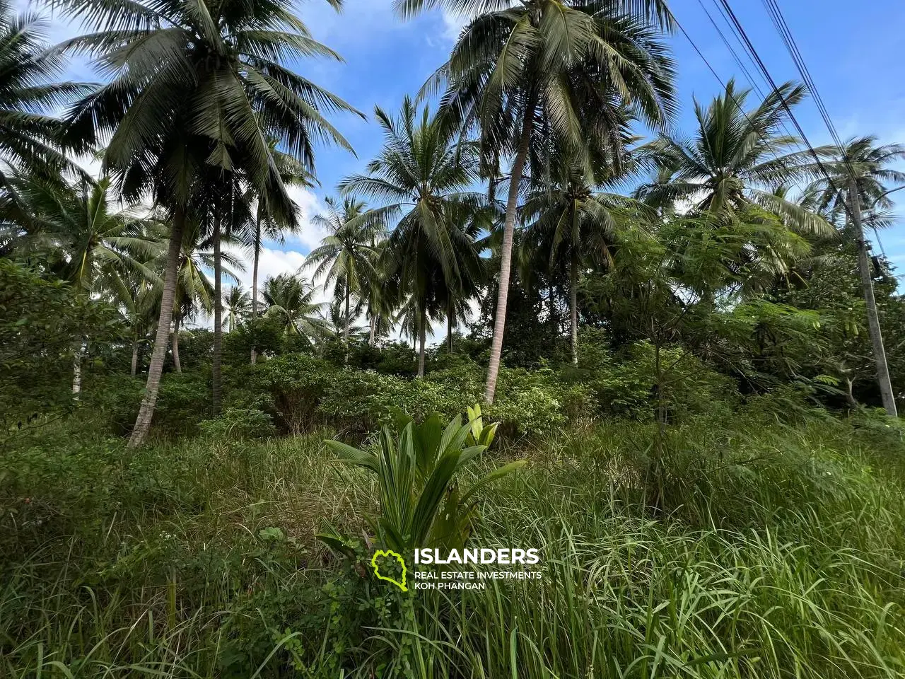 Terrain panoramique à Ban Tai : un mélange de nature et de commodité