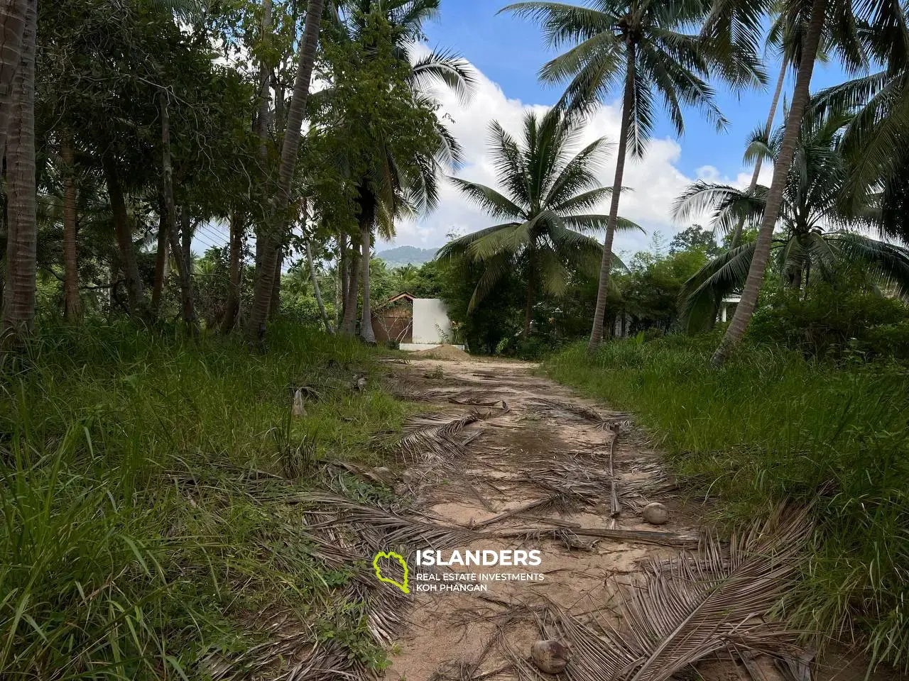 Terrain panoramique à Ban Tai : un mélange de nature et de commodité