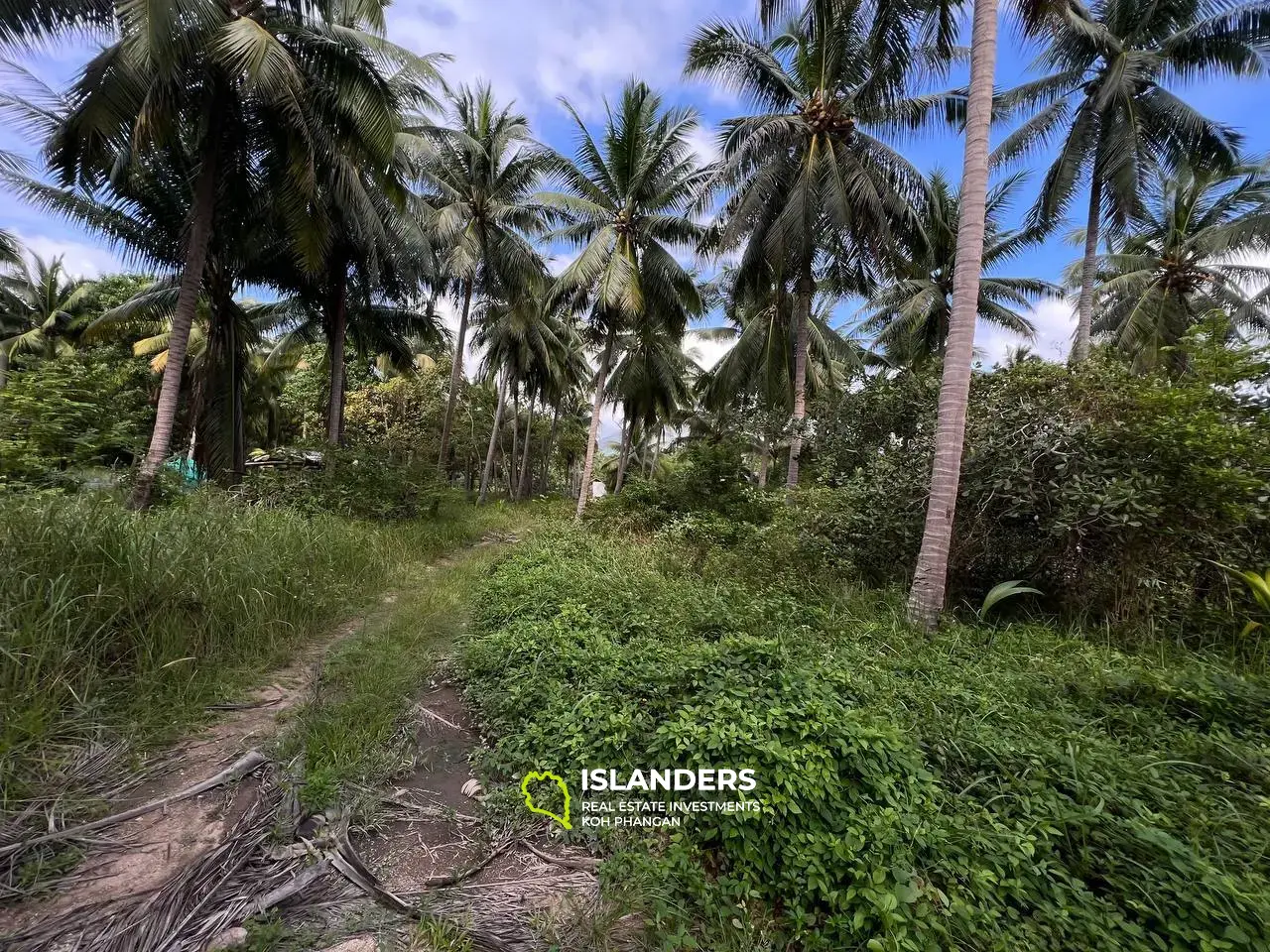 Terrain panoramique à Ban Tai : un mélange de nature et de commodité