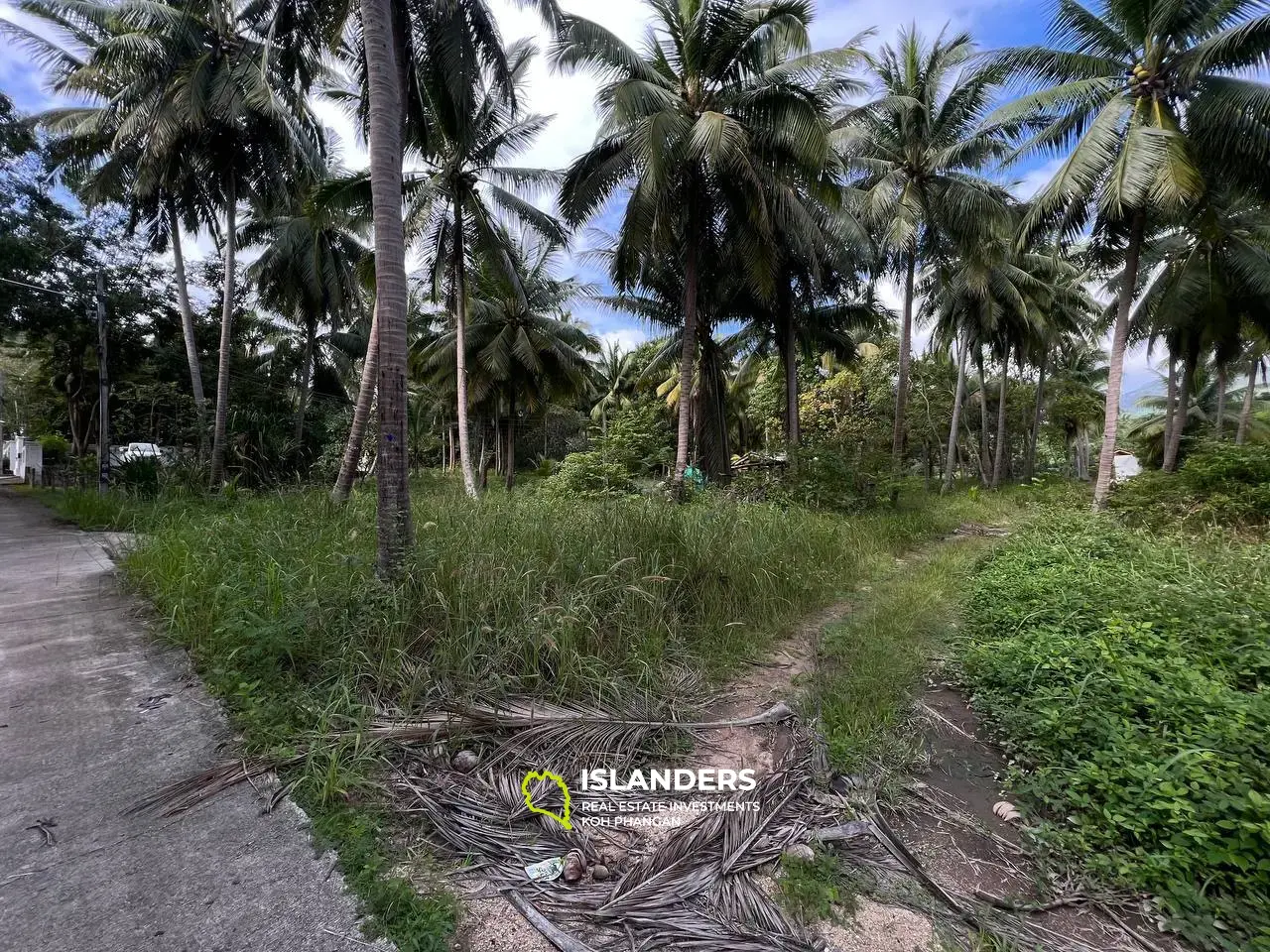 Terrain panoramique à Ban Tai : un mélange de nature et de commodité