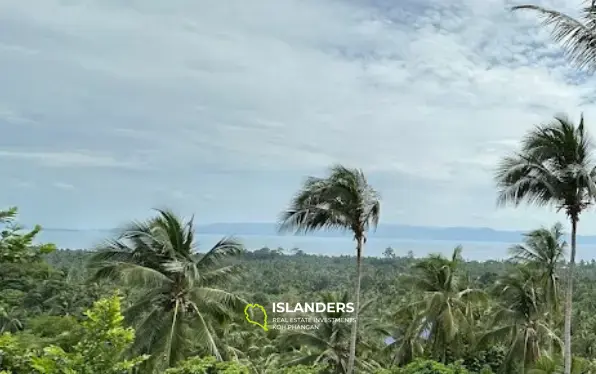 Joli terrain vue mer situé à Bankai