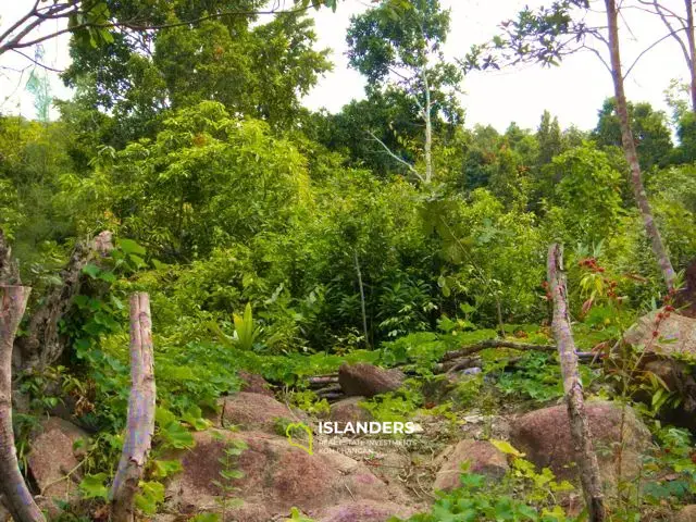 Sea view Land in Thonglang