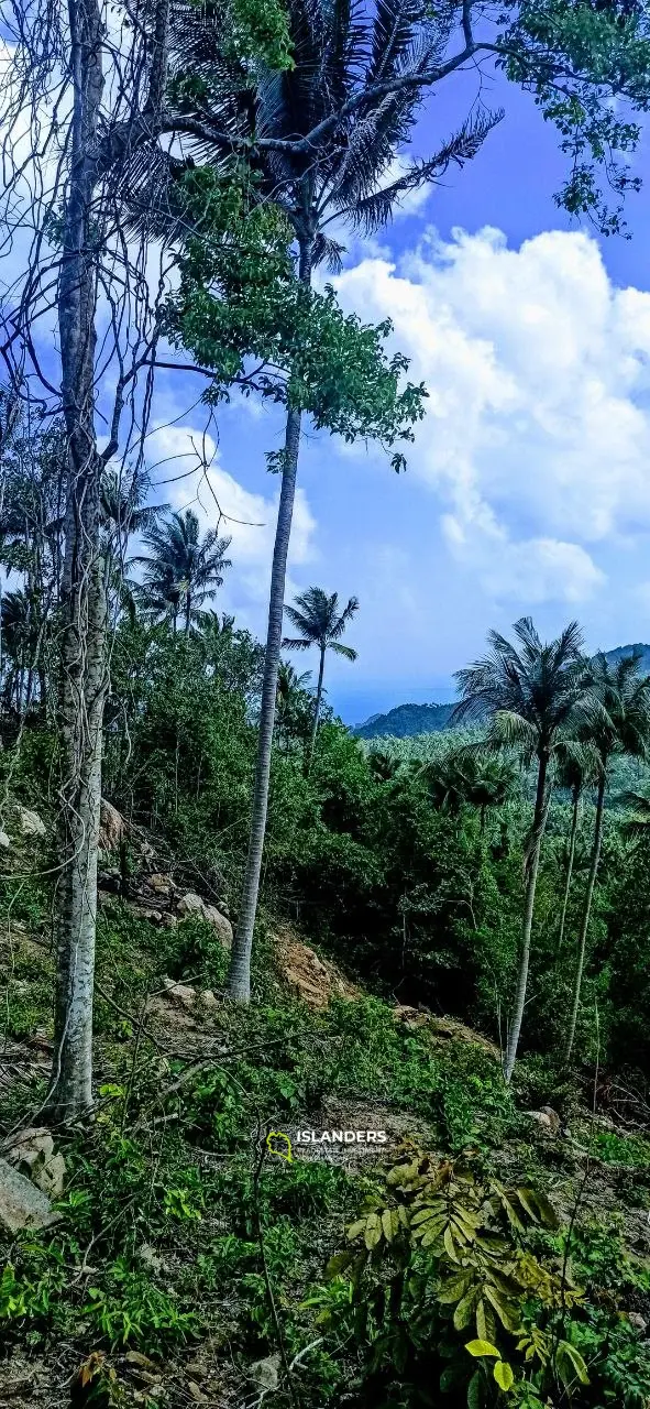 Terrain vue mer et vue jungle. Collines de Haad Yao.