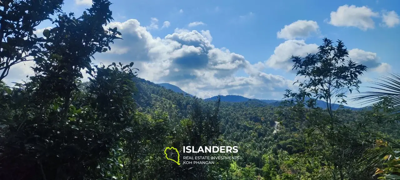 2 rai superbe vue sur la mer 360' Thong Nai Pan avec vue sur Koh Tao