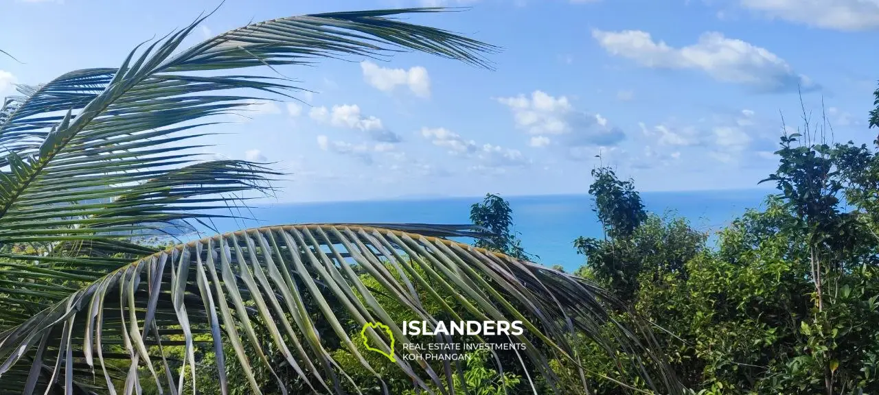 2 rai superbe vue sur la mer 360' Thong Nai Pan avec vue sur Koh Tao