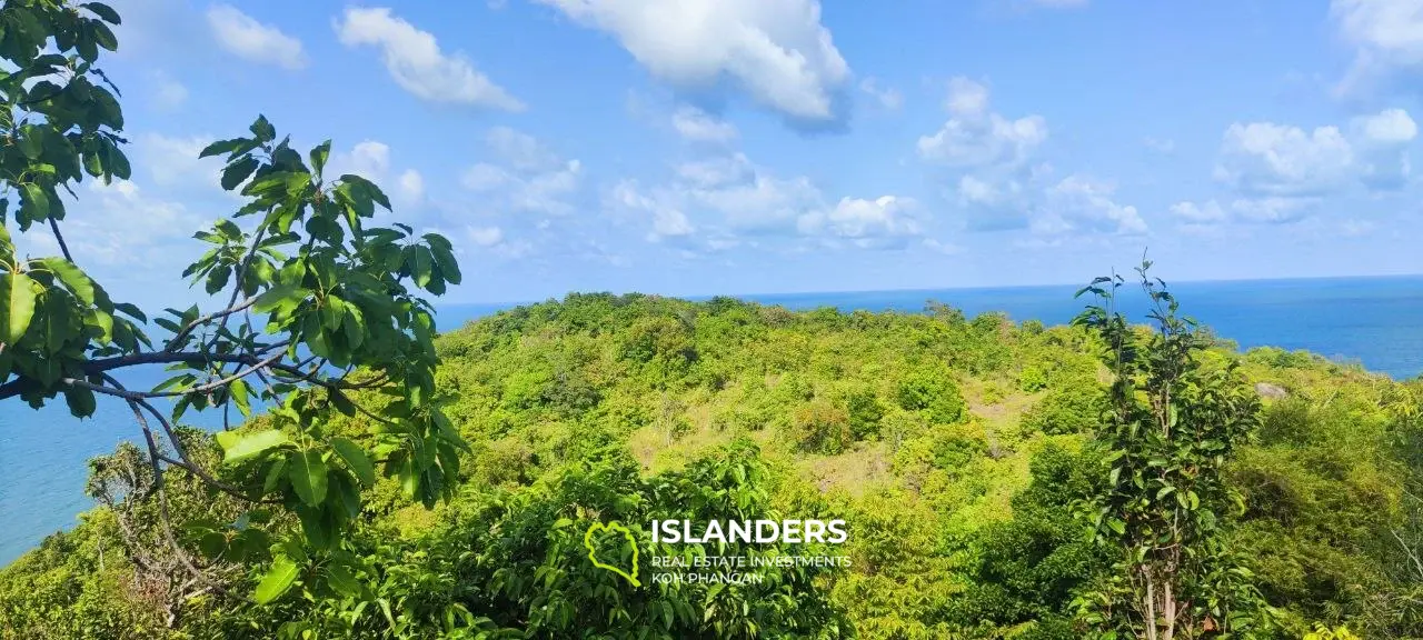 2 rai superbe vue sur la mer 360' Thong Nai Pan avec vue sur Koh Tao