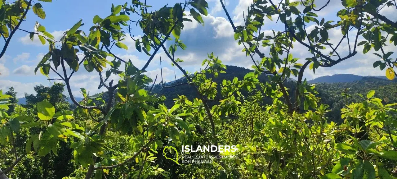 2 rai superbe vue sur la mer 360' Thong Nai Pan avec vue sur Koh Tao