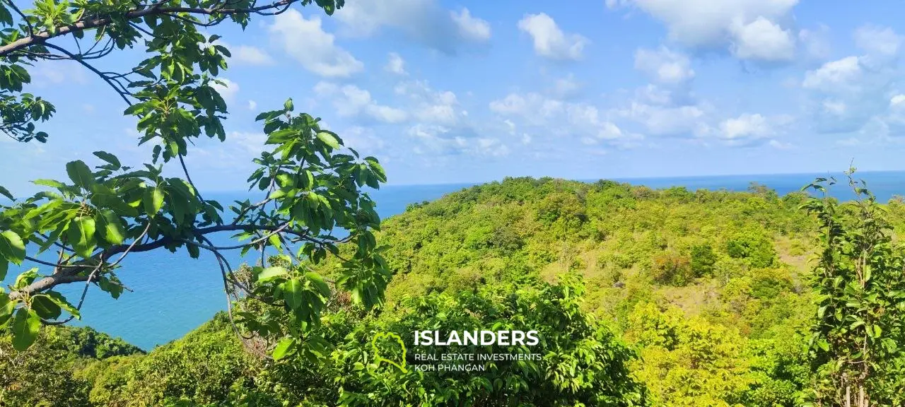 2 rai superbe vue sur la mer 360' Thong Nai Pan avec vue sur Koh Tao