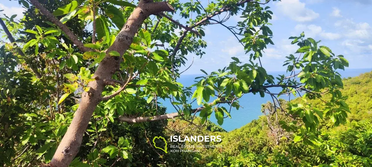 2 Rai, toller Meerblick 360' Thong Nai Pan mit Blick auf Koh Tao