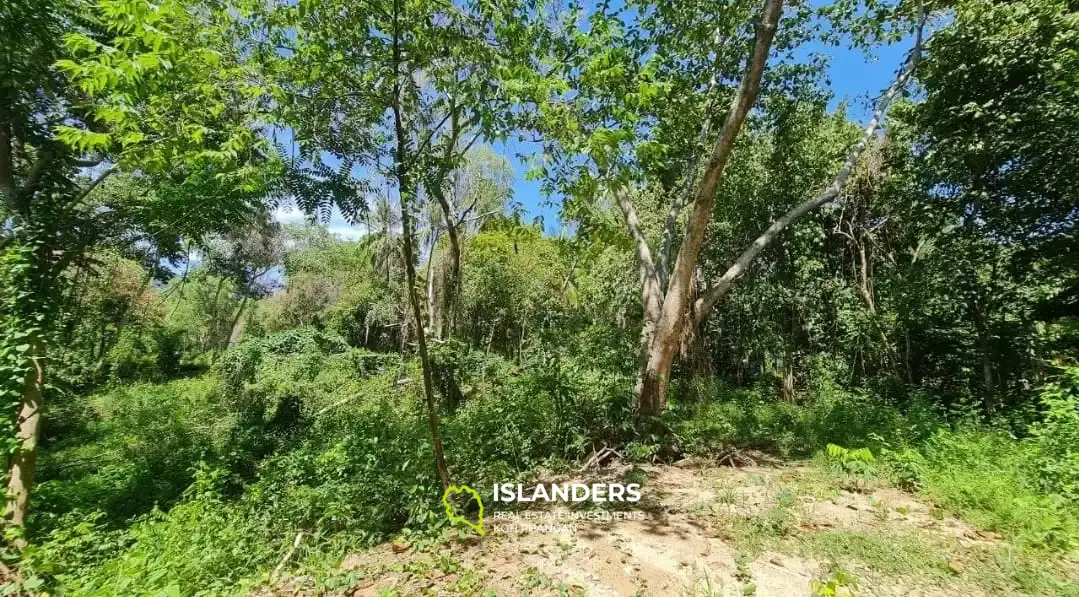 terrain à la nature préservée au centre de l'île ! (Parcelle A)