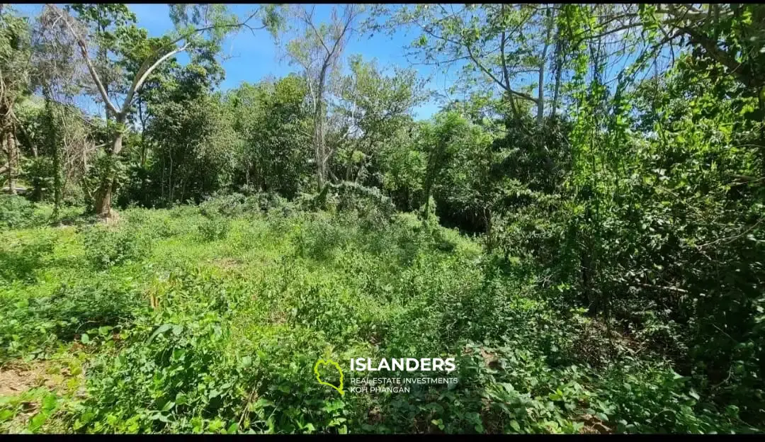 terrain à la nature préservée au centre de l'île ! (Parcelle A)