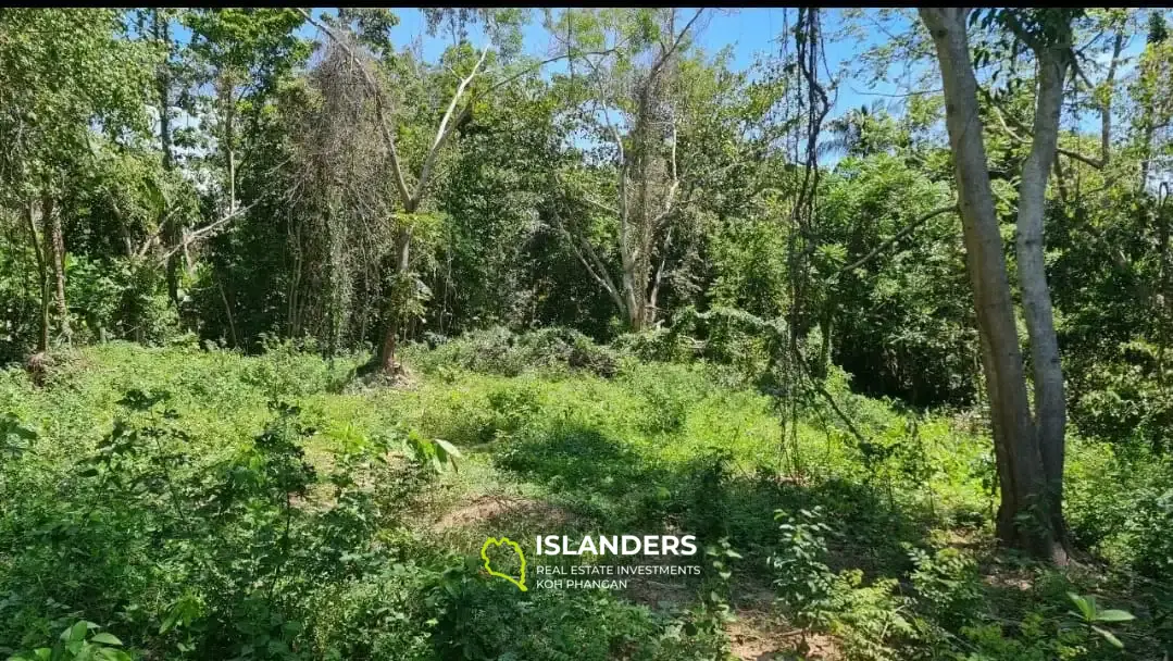 Grundstücke mit unberührter Natur im Zentrum der Insel! (Grundstück A)