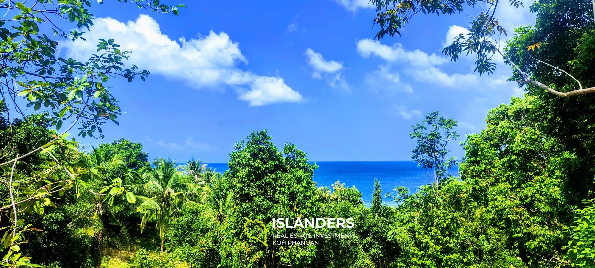 Wunderschönes Grundstück mit Meerblick auf Koh Phangan, Haad Tien zu verkaufen, 2555 m², 1,6 Rai, 2 Minuten zum Strand