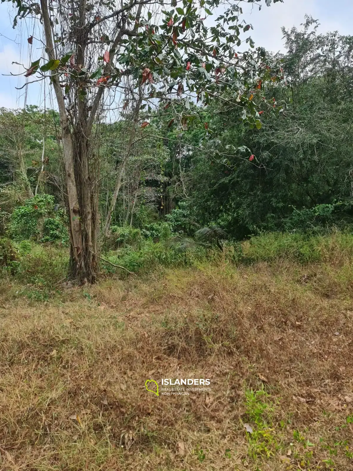 Terrain à la nature préservée au centre de l'île ! (Parcelle B)