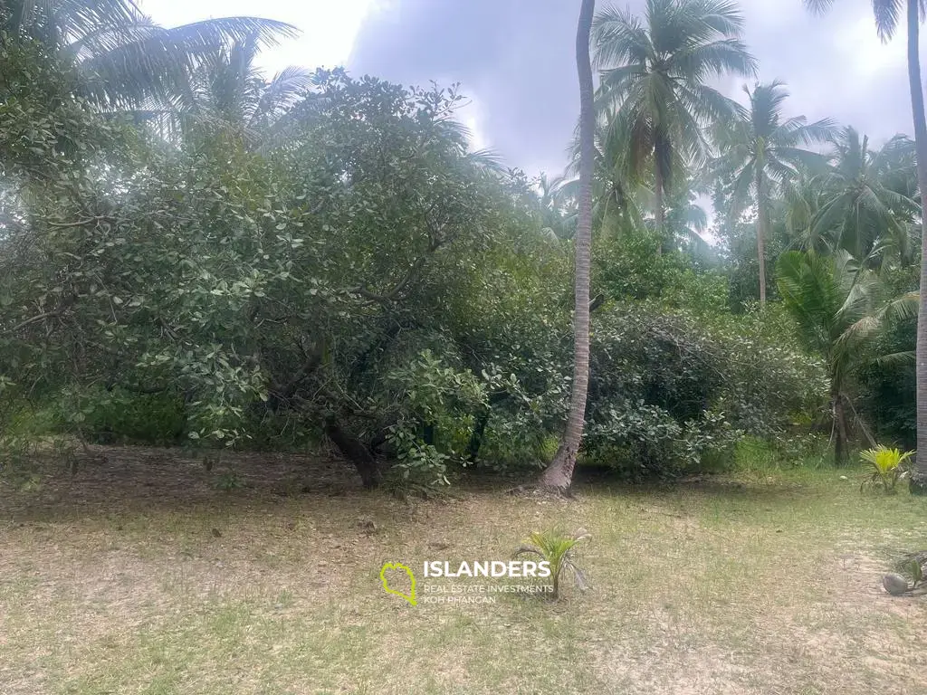 Beautiful tropical 3-BDR pool villas – Coconut Lane