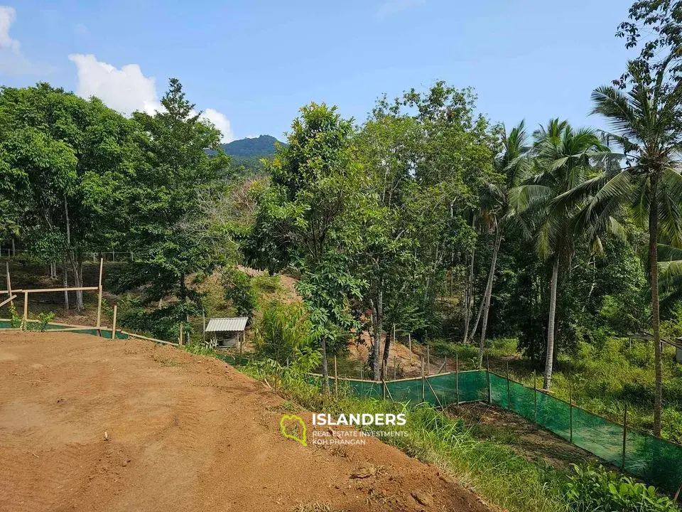 VENDU - Terrain plat dans la jungle – 2 400 m²