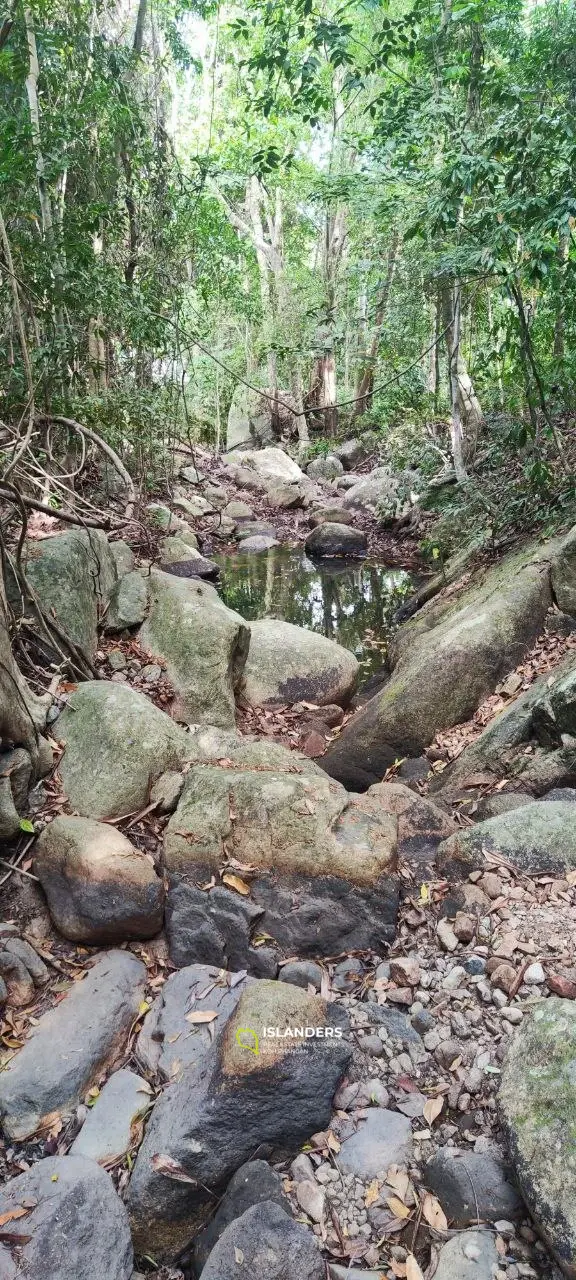 Jungle view land on Chalokum