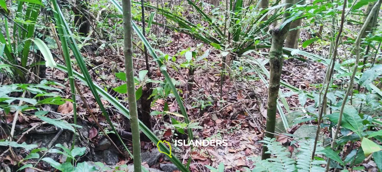 Jungle view land on Chalokum