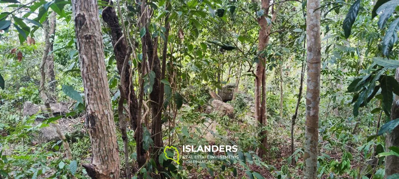 Terrain avec vue sur la jungle sur Chalokum