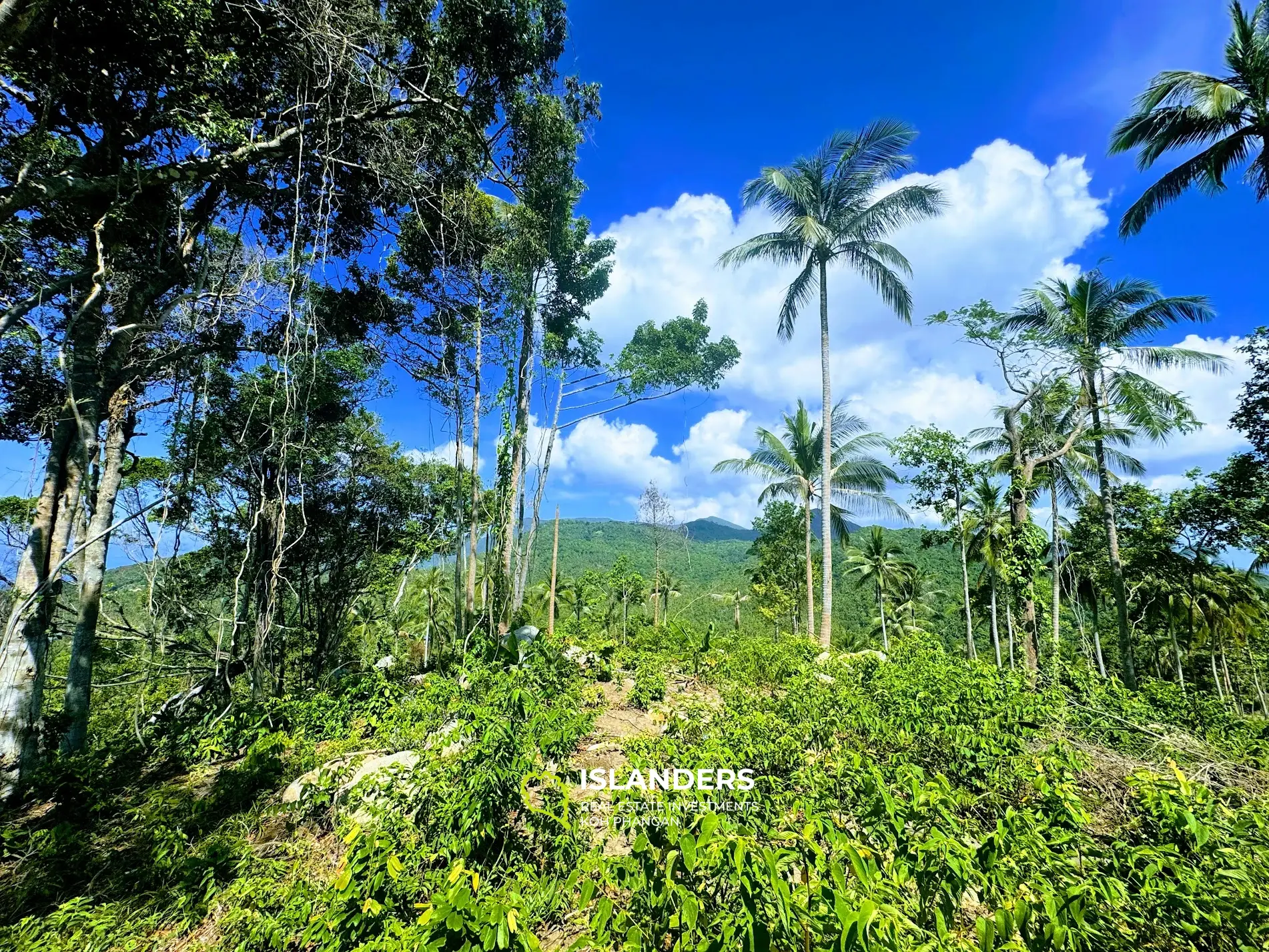 ארץ השקיעה המדהימה לחלוטין עם נוף לים Haad Yao 4 Rai, Koh Phangan