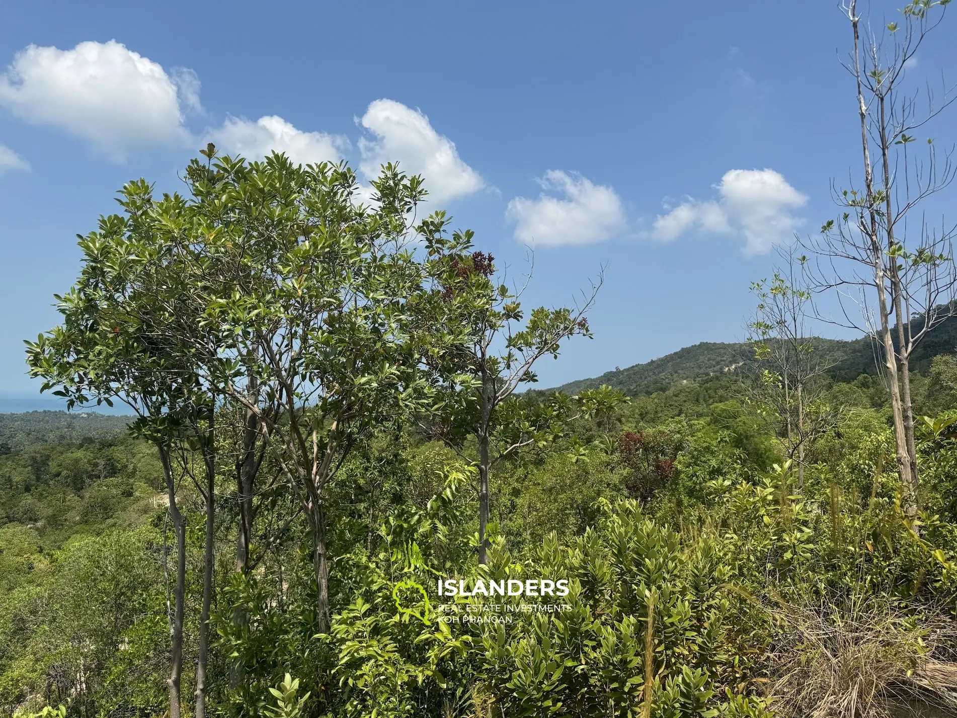 Terrain vue mer et jungle avec bon potentiel à Sritanu (route sale, pas d'électricité), 5,6725 Rai