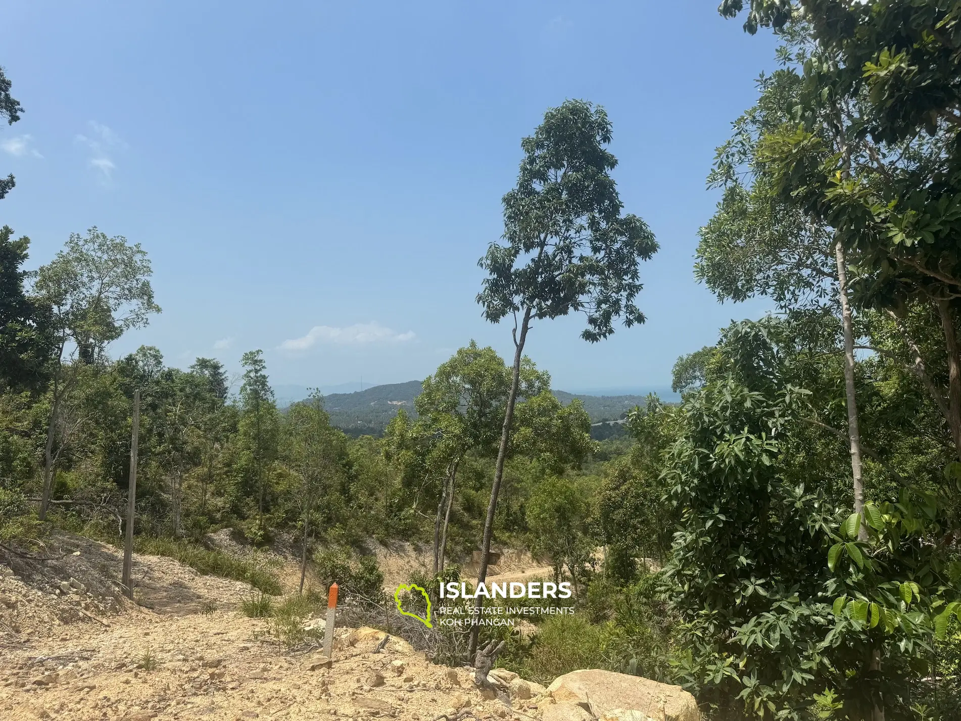 Nice seaview and jungleview land with good potential in Sritanu (dirty road, no electricity), 1,595 Rai