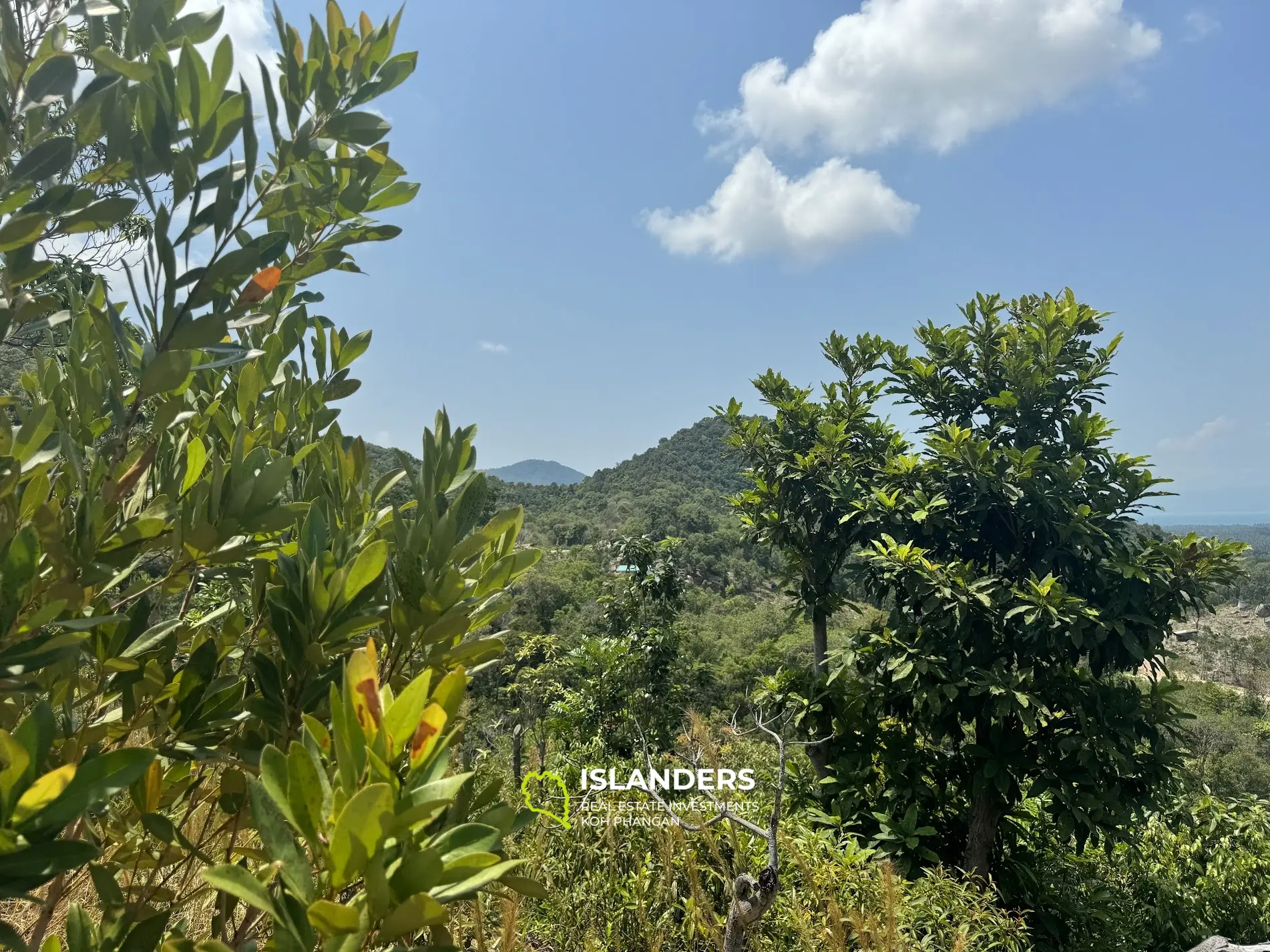 Grand terrain avec vue sur la mer et la jungle avec un bon potentiel à Sritanu (route sale, pas d'électricité), 25,6775 Rai