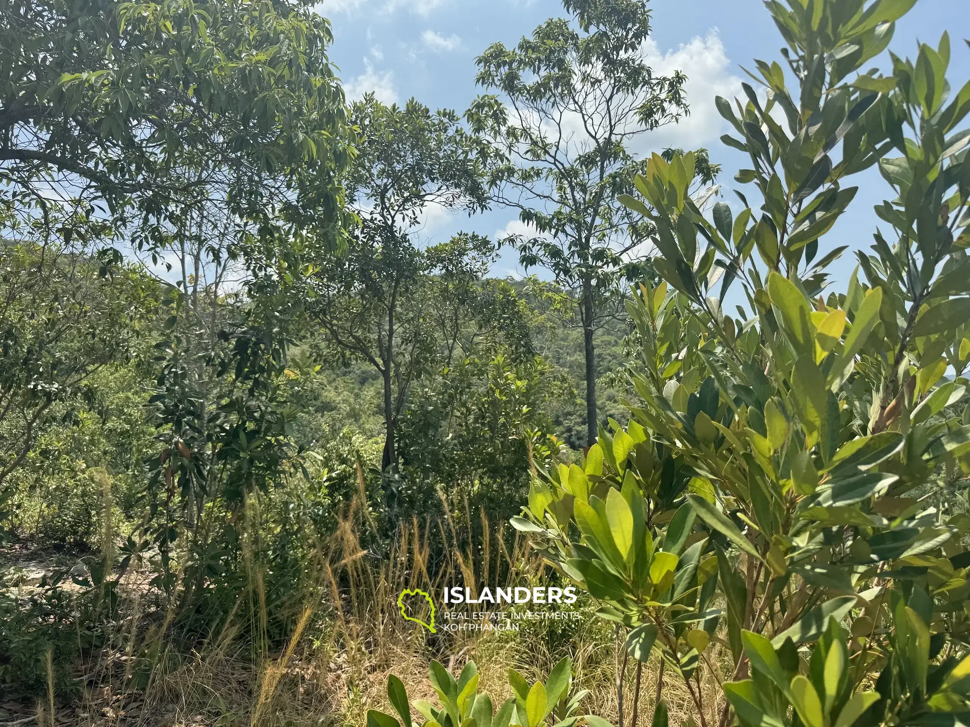 Grand terrain avec vue sur la mer et la jungle avec un bon potentiel à Sritanu (route sale, pas d'électricité), 25,6775 Rai