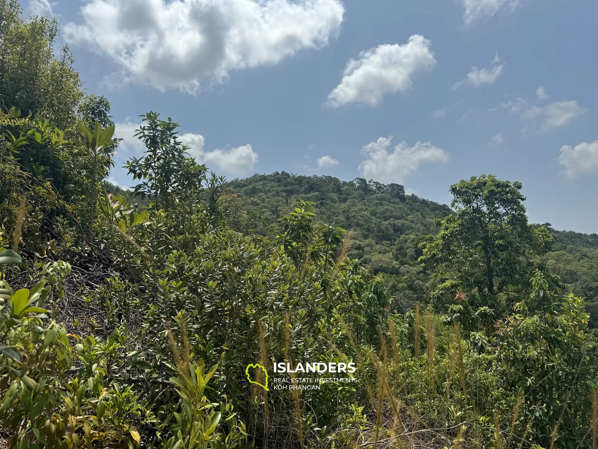 Grand terrain avec vue sur la mer et la jungle avec un bon potentiel à Sritanu (route sale, pas d'électricité), 25,6775 Rai