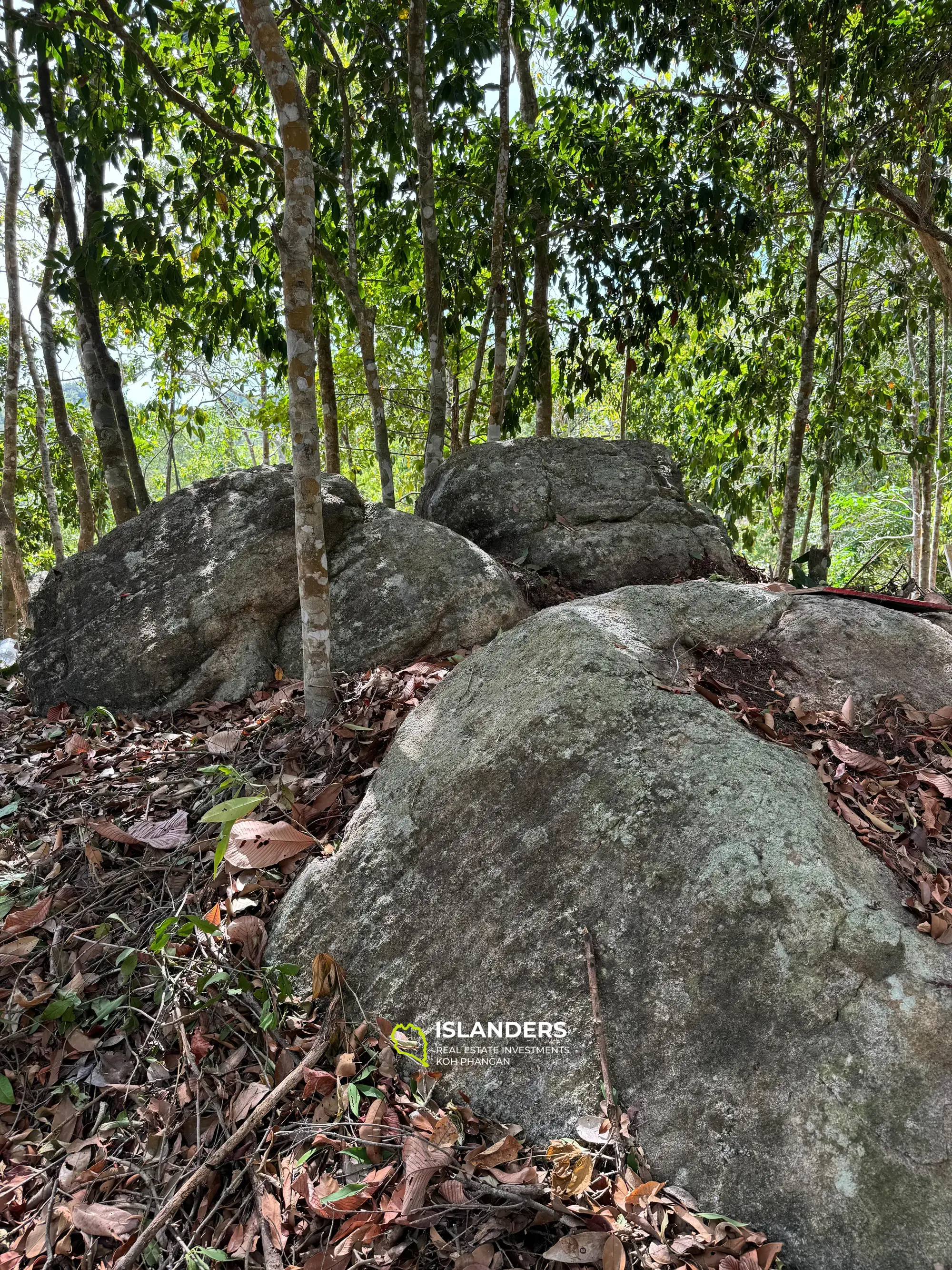 WOW-Aussicht auf das Land in Chalok Baan Kao